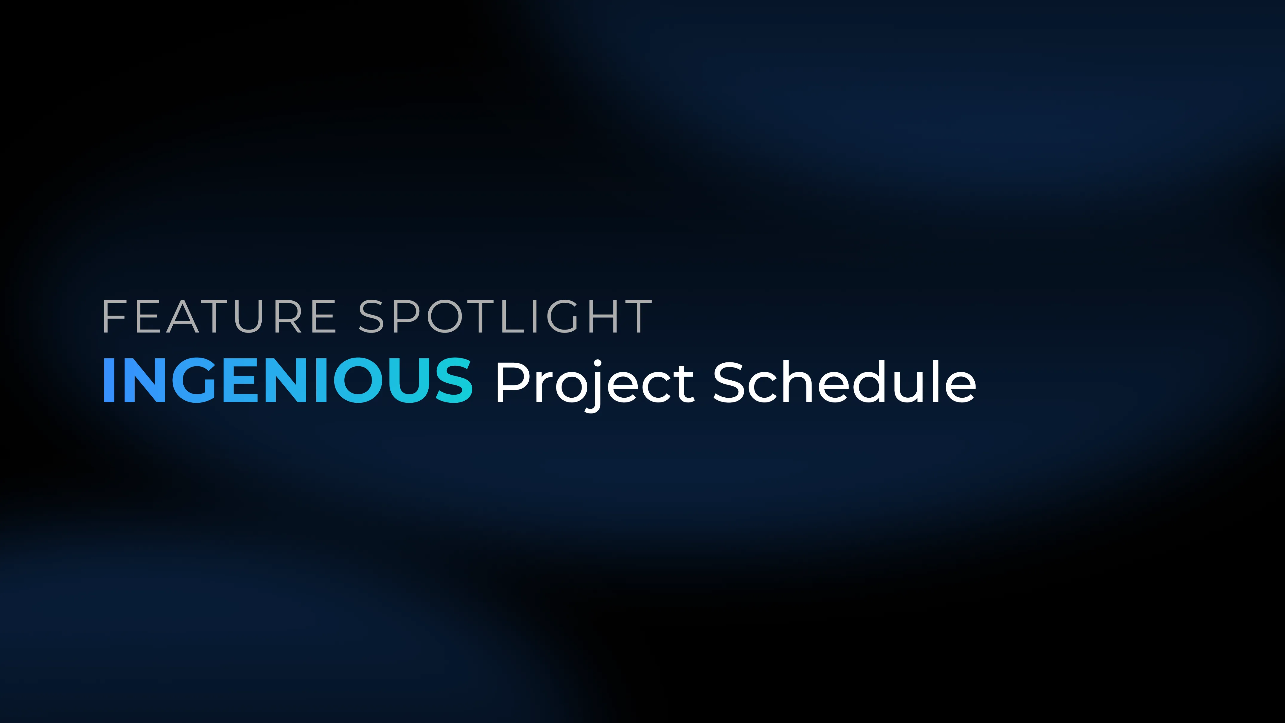 Project Schedule